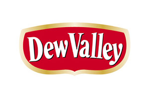 Dew Valley Logo